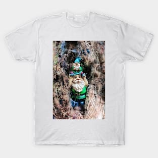 Woodland Gnomes 4 T-Shirt